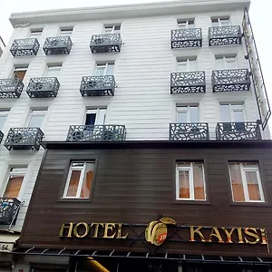 3* Otel Kayisi
